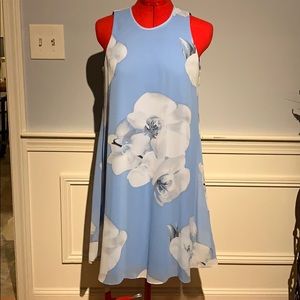 Blue and white sundress